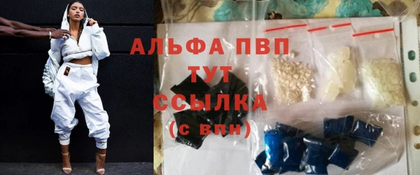сатива Белоозёрский