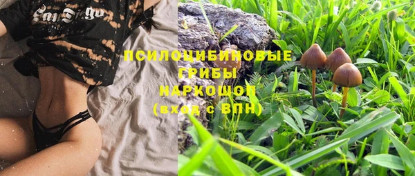 метадон Белокуриха