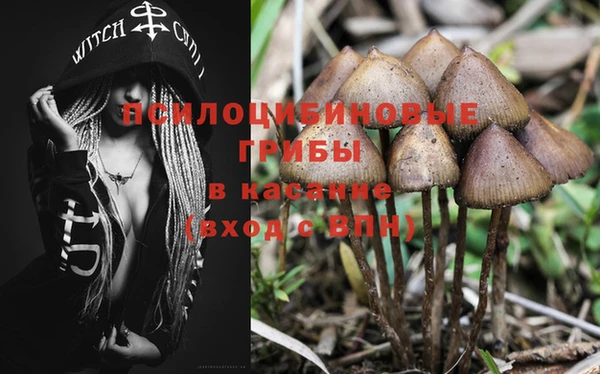 метадон Белокуриха