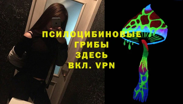 метадон Белокуриха